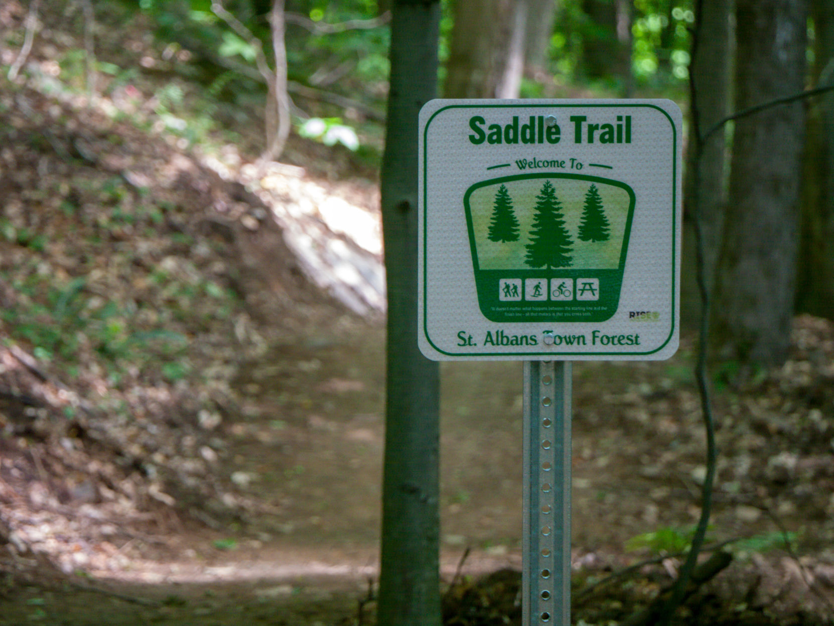 St. Albans Town Forest 2.jpg